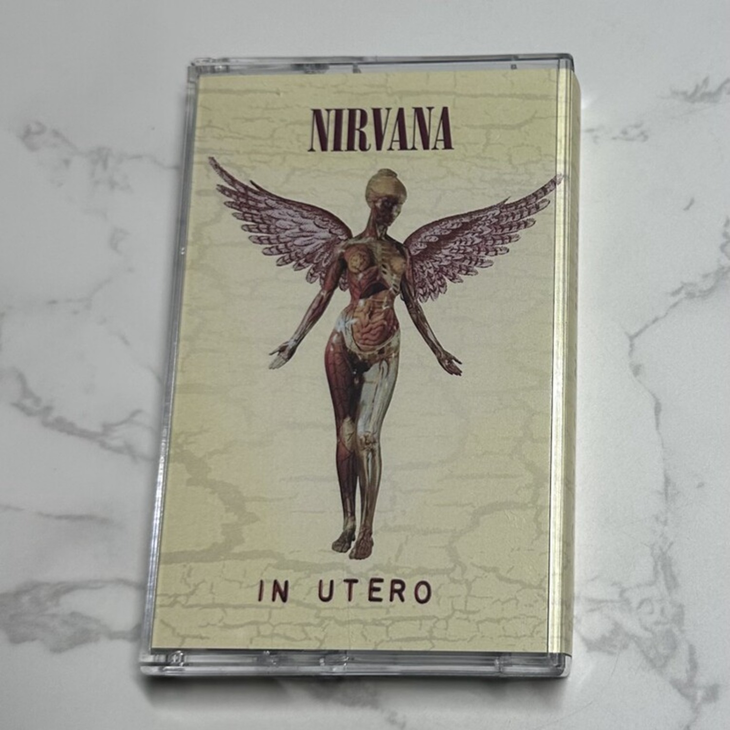 Nirvana Complete Album Collect - Vintage Collectible & Vintage Dolls reseña y precio